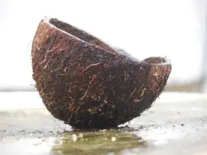 A coconut shell is a great element for a nice aquascape.  They can be used to create caves for breeding dwarf cichlids.