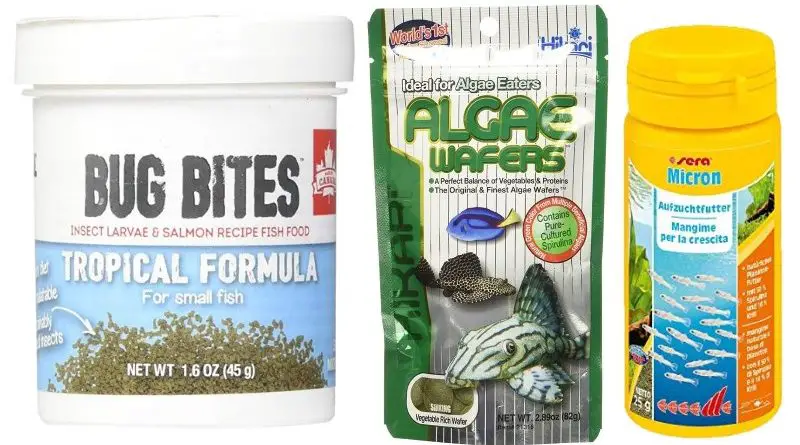 Recommended fish foods for your aquarium fish