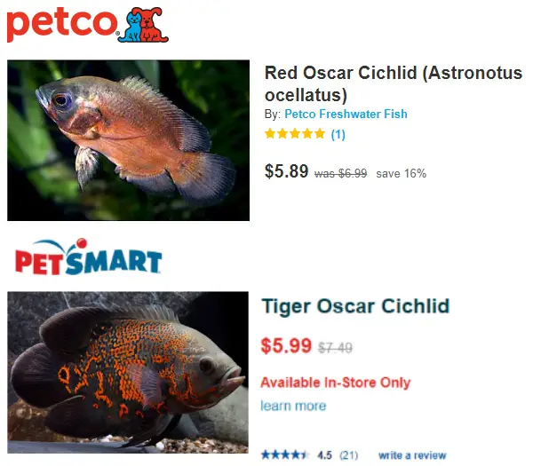 tiger oscar petsmart