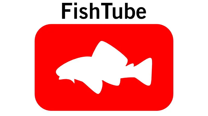 Best youtube aquarium channels