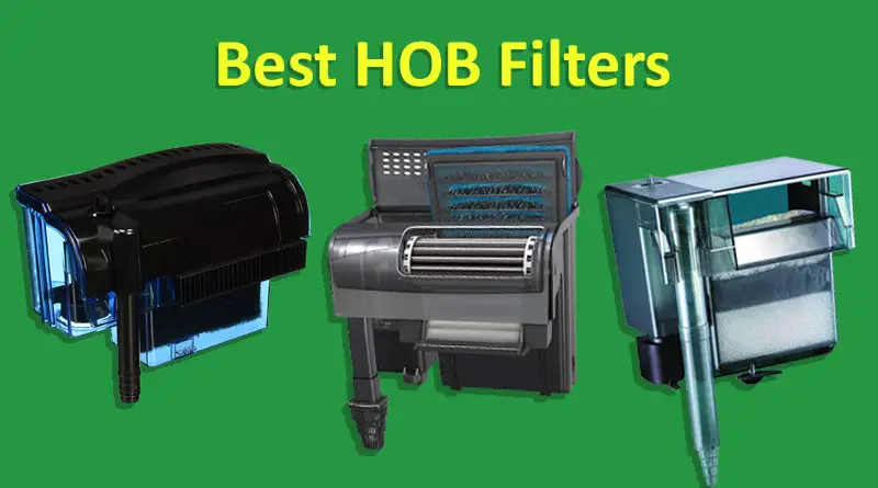 best hob filter